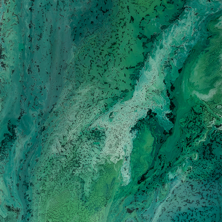 TY ART Handmade Wall Art with Resin Luxury Home Decor Custom Support for Interior Design